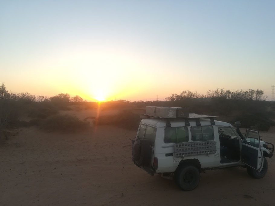 Unser Schlafplatz bei Guelmin. Nur wenige Kilometer vom Marjane entfernt bei N28° 56.540 W010° 00.930 in einem Wadi