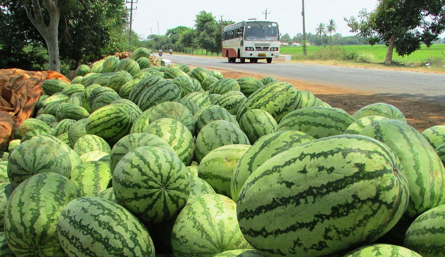 Bild: Wassermelone, Citrullin Malat