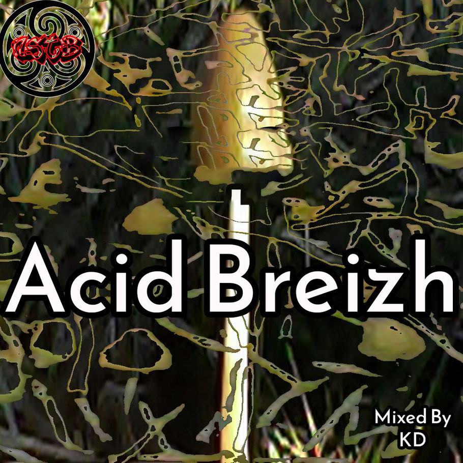 Acid Breizh by KD NSTB BZH - DJ KD TROUDET JC ( Jean-Charles ) Morbihan Pontivy Bretagne Drum & Bass Hardtek Raggatek Psytrance Tekno Techno Remix Acid Acidcore