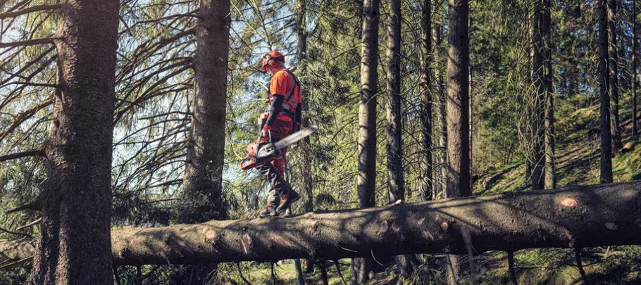 Husqvarna Kettensäge 572 XP