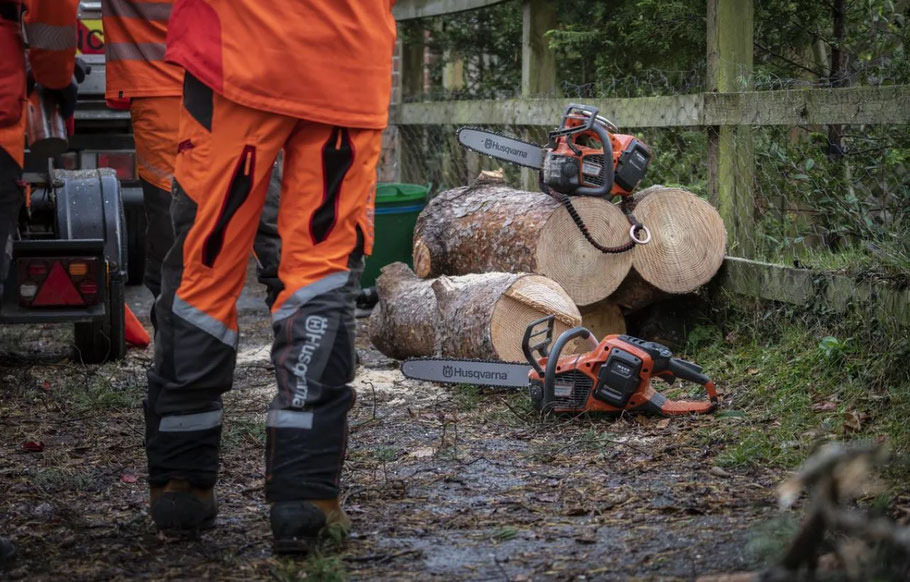 Forstarbeiter vor zwei Akku Kettensägen Husqvarna 