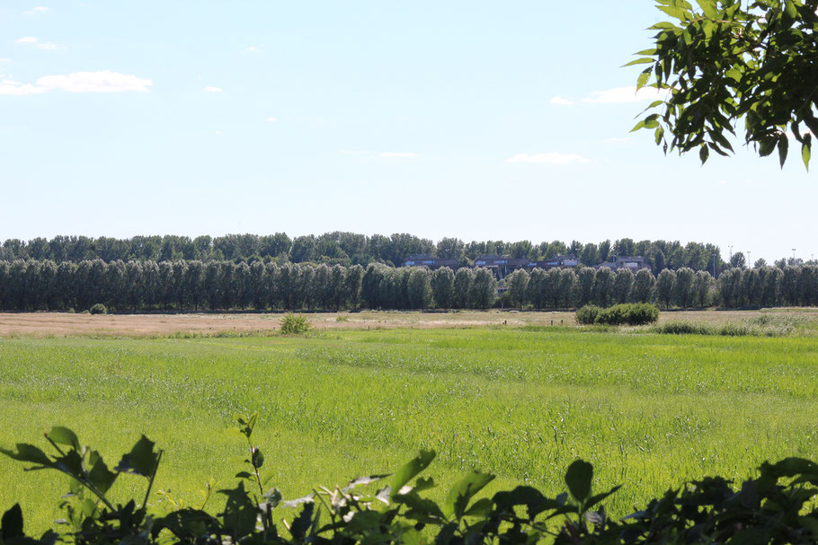 Billwerder Oberbillwerder Bergedorf