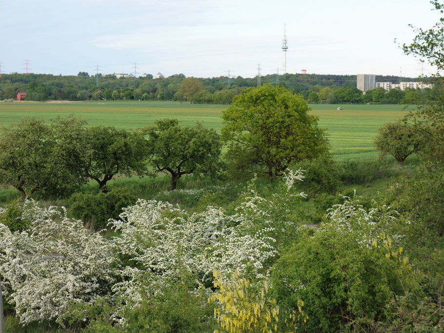 Oberbillwerder Allermöhe Bergedorf Billwerder