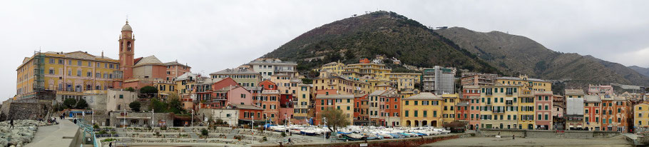 Nervi