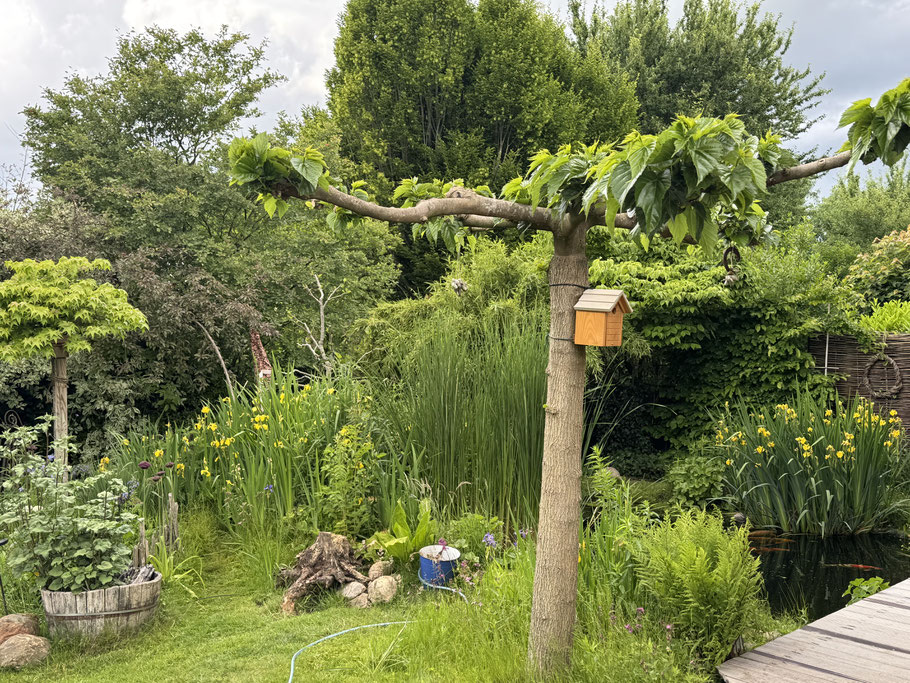 Naturgarten