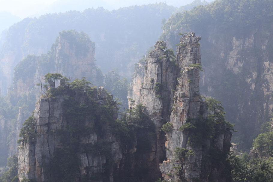 Some of the peaks of Tianzi shan, one of the higest points. Of course I got a cable car up then explored the top before walking down into monkey territory