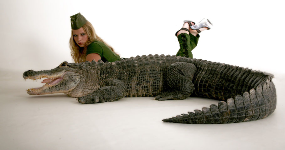 Fotoshooting mit exotischen Tieren