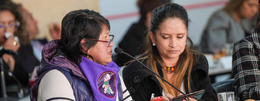 Foto: Observatorio de Mujeres y Equidad de Género