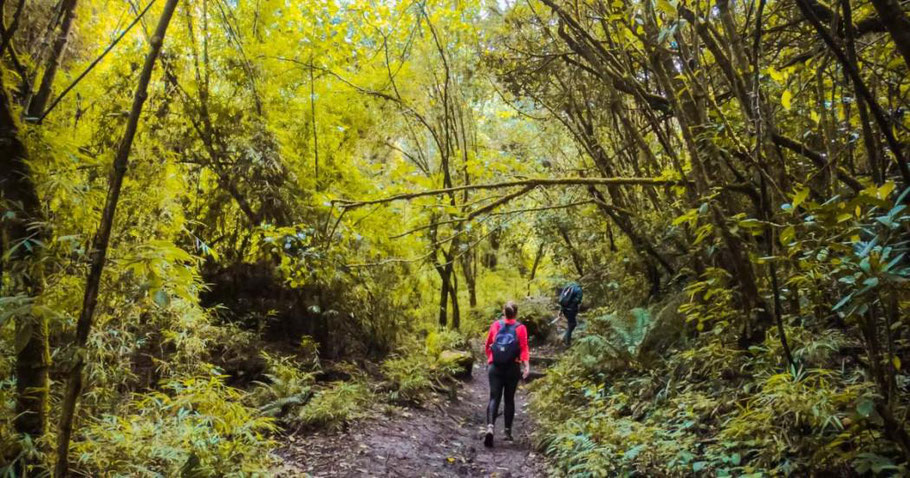 Foto: Acueducto de Bogotá
