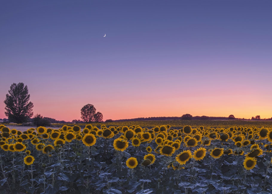 Mit dem persönlichen Horoskop haben wir unsere Konstellationen in der Hand