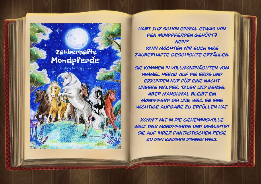 #editionsternsaphir #zauberhaftemondpferde #pferdegeschichte #kinderbuch #magischepferdegeschichte #geschichteübertrost #trost #alleinsein