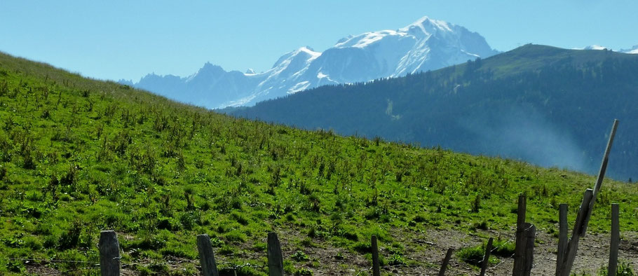 col des Aravis 1 498 m (AU BOUT DES PIEDS)