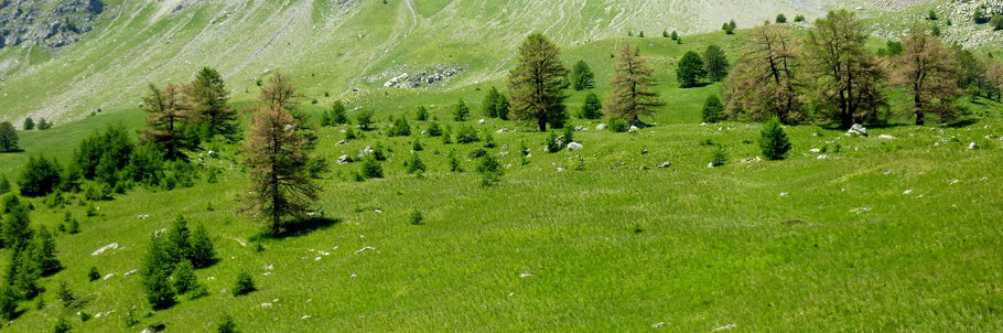 col de Vars 2 109 m (AU BOUT DES PIEDS)