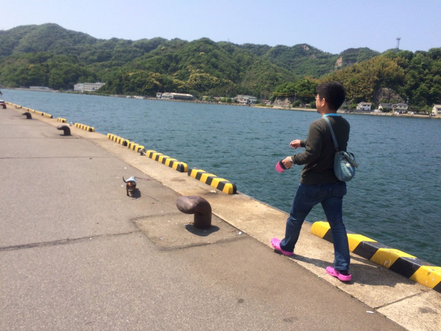 Back in Tokio：時間あったので海までお散歩。空気が美味しく、海が青い☺︎