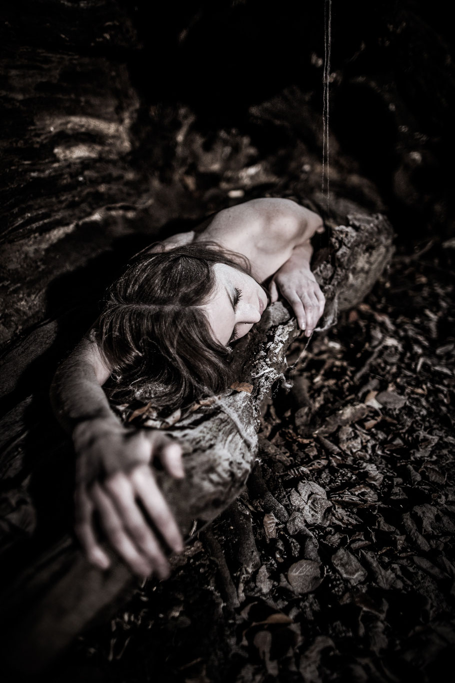 ROVA Design - Photography - Hiding