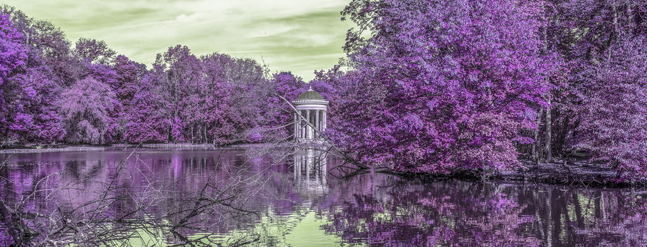 Großer See im Nymphenburger Park als Farb-Photographie, Muenchen, Bavaria