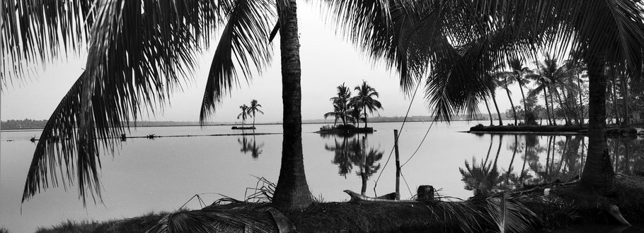 Panoramaaufnahme von Palmen auf Vipeen island in Kerala, Indien, als Schwarzweißfoto