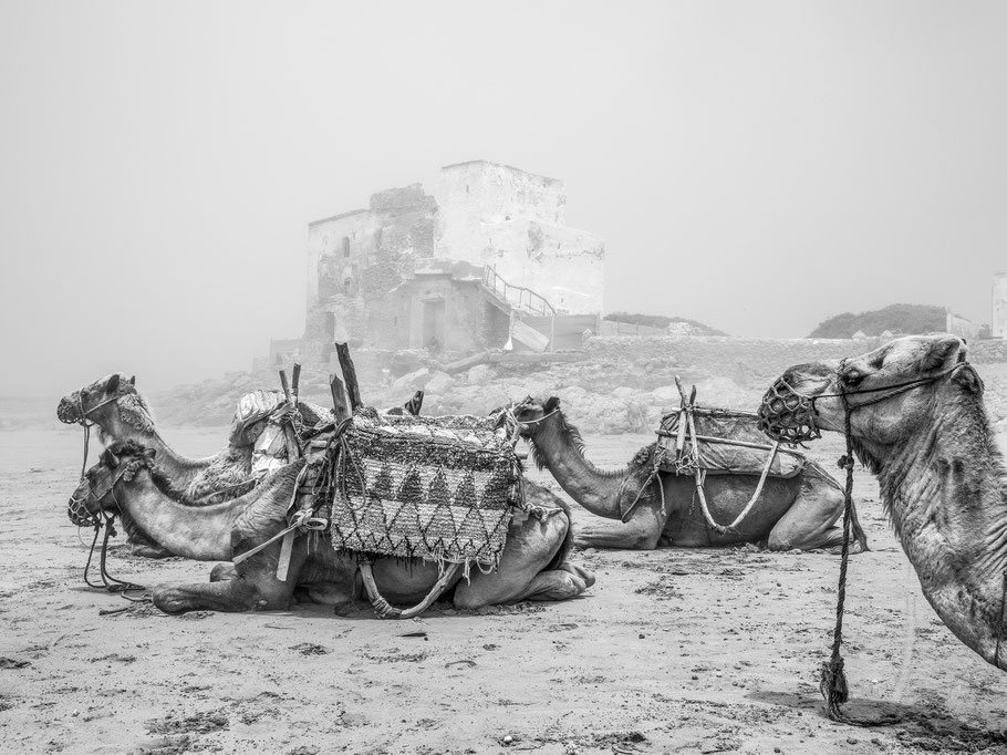 am Strand von Siri Kaouki in Marokko als Schwarzweißphoto