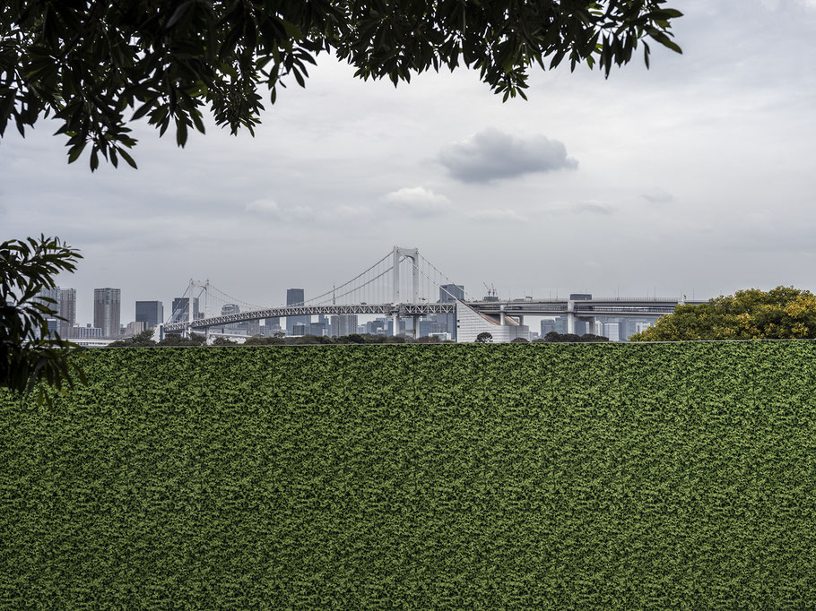 Die Rainbow Bridge in Tokyo als Farb-Photographie, Japan