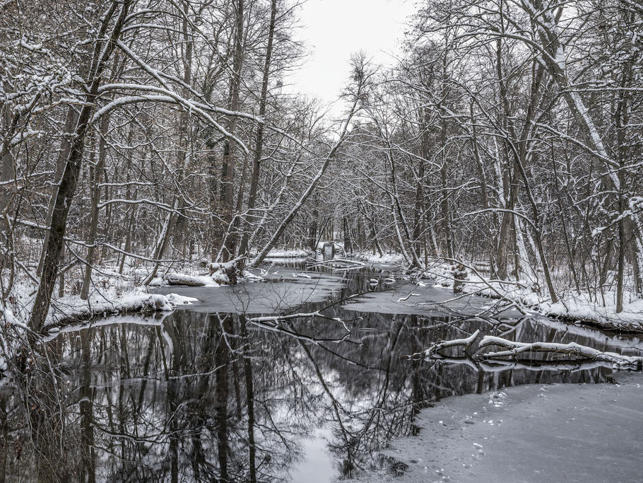 Nymphenburger Park Winter 2021 im Schnee als Farb-Photographie, Muenchen, Bayern