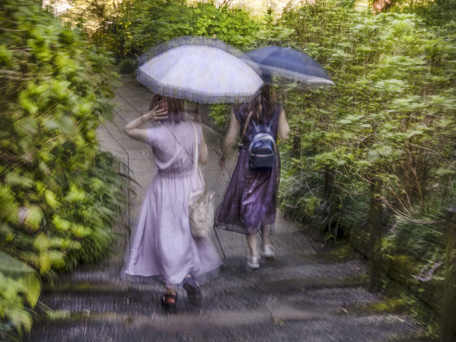 Kamakura Engakuji Temple, Japan, als Farb-Photographie, Japan