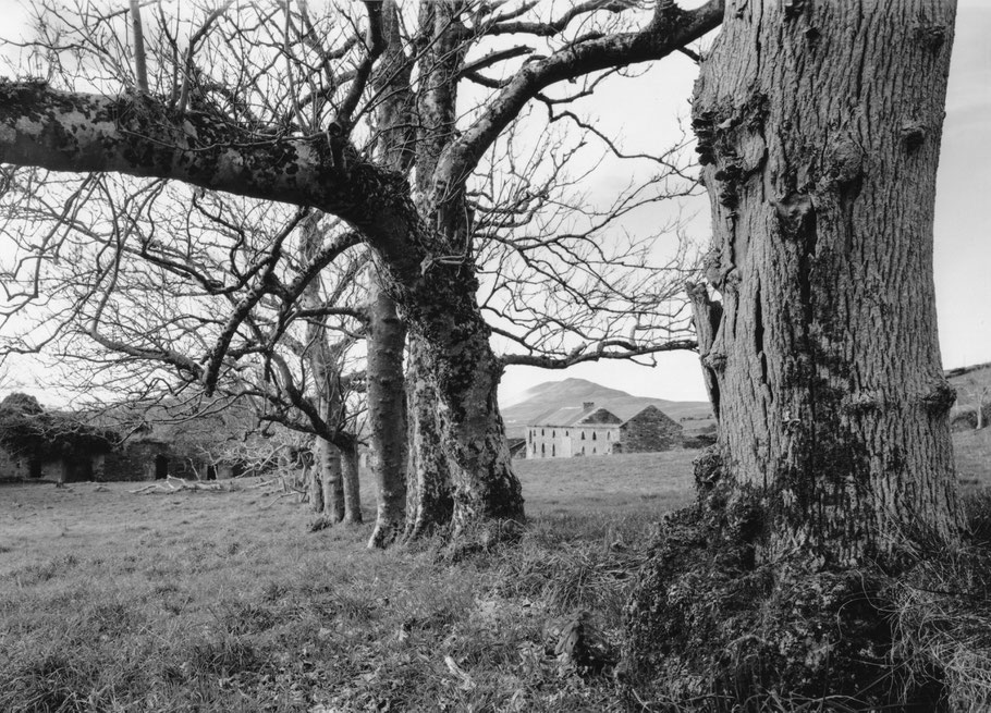 Ring of Kerry, Irland, in schwarz-weiß als Großformat-Photographie