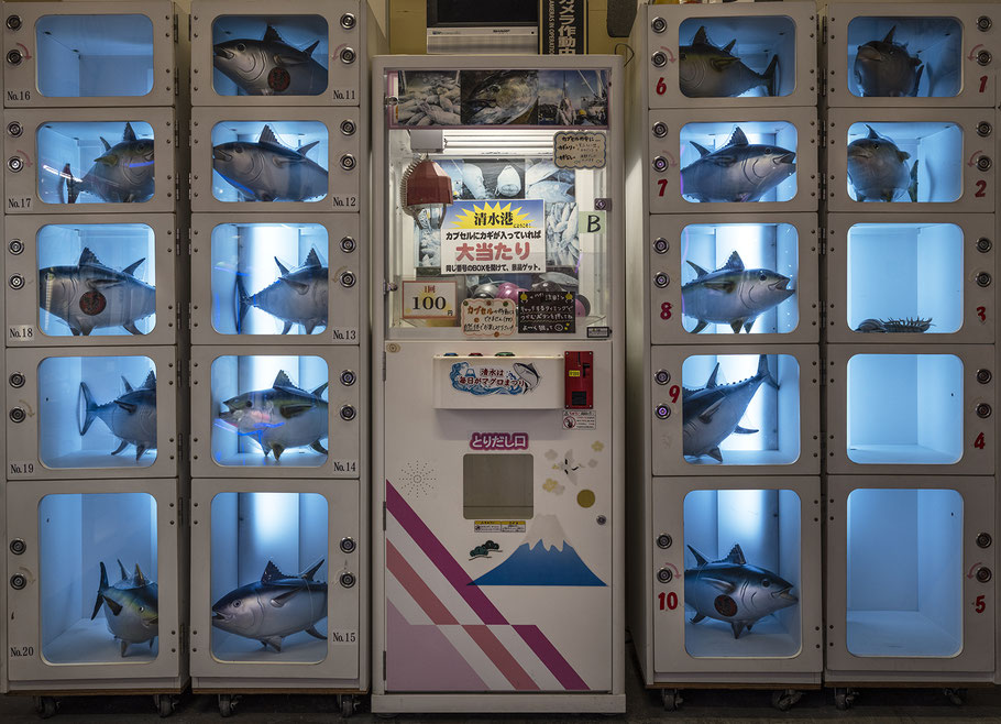 Shizuoka fish market als Farb-Photographie, Japan