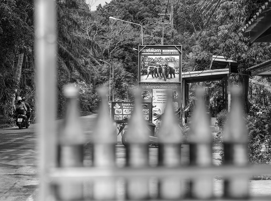 Verkauf von Benzin in herkömmlichen Getränkeflaschen am Straßenrand in Thailand als SW-Fotografie