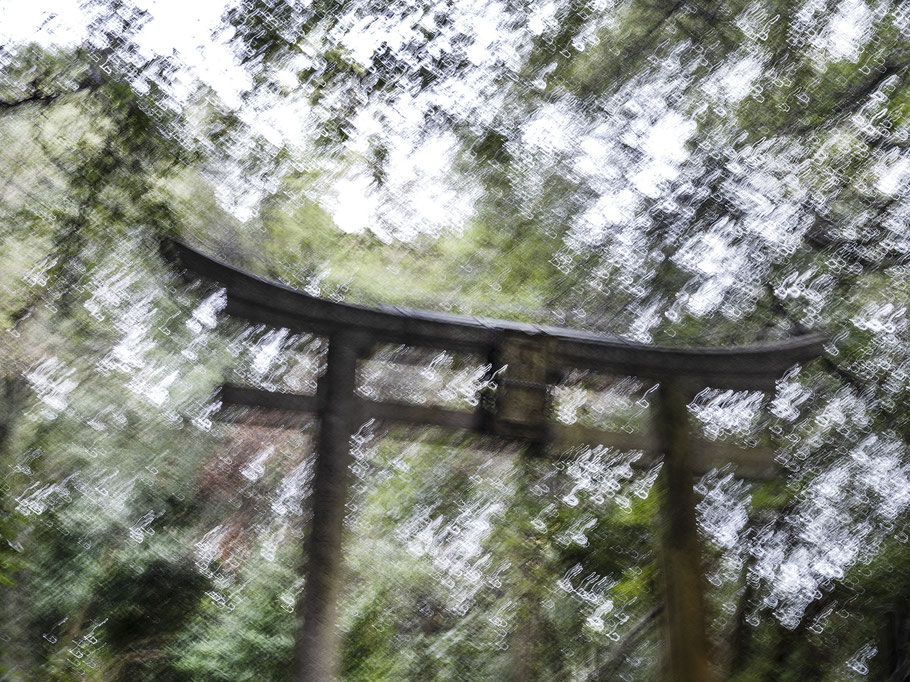 Auf der Insel Naoshima als Farb-Photographie, Japan