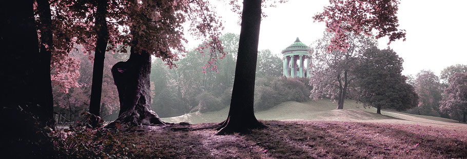 Monopteros im Englischen Garten am Morgen als Farb-Photographie, Muenchen