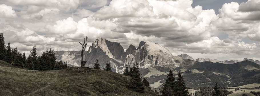 Die Sellagruppe in den Dolomiten als Farbphotographie im Panorama-Format