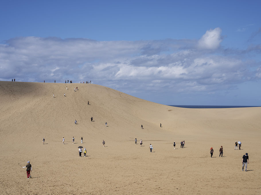 Die Düne von Tottori als Farb-Photographie, Japan