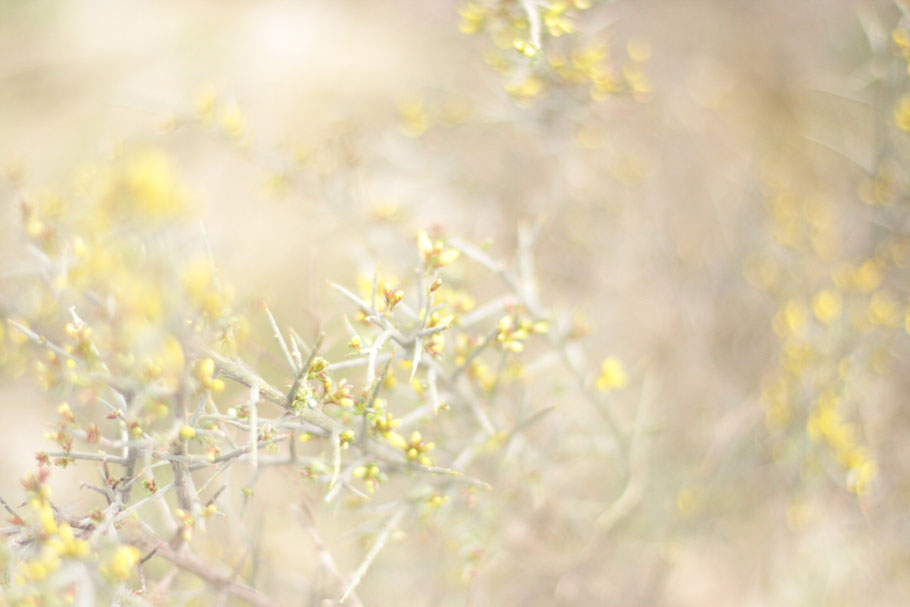 Photo: Andrea Christen