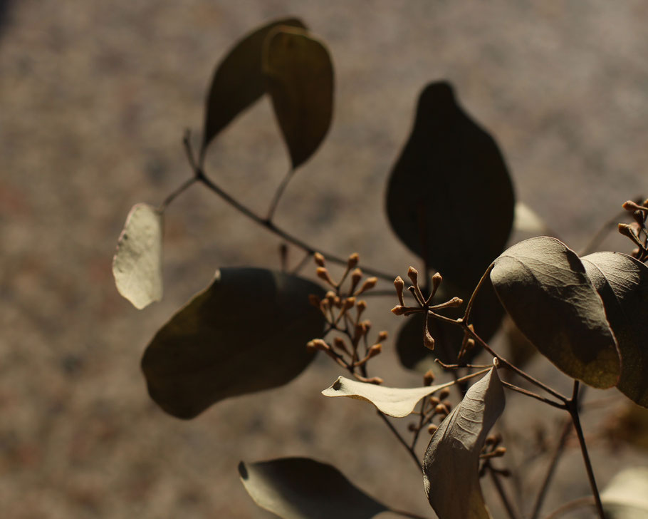Photo: Andrea Christen