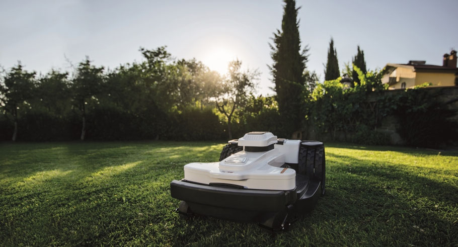 Ambrogio 4.36 Elite Mähroboter auf grünem Rasen