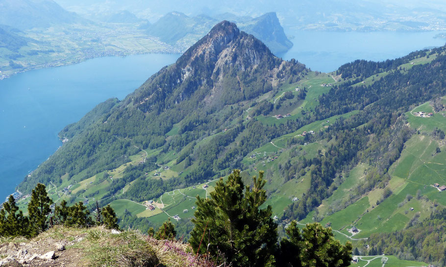 Blick vom Gipfel der Rigi Hochflue auf den Gersauerwstock - 1452 M