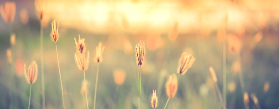 Hypnose & Hypnosetherapie in Hamburg| Hypnosepraxis Irena Mirgel
