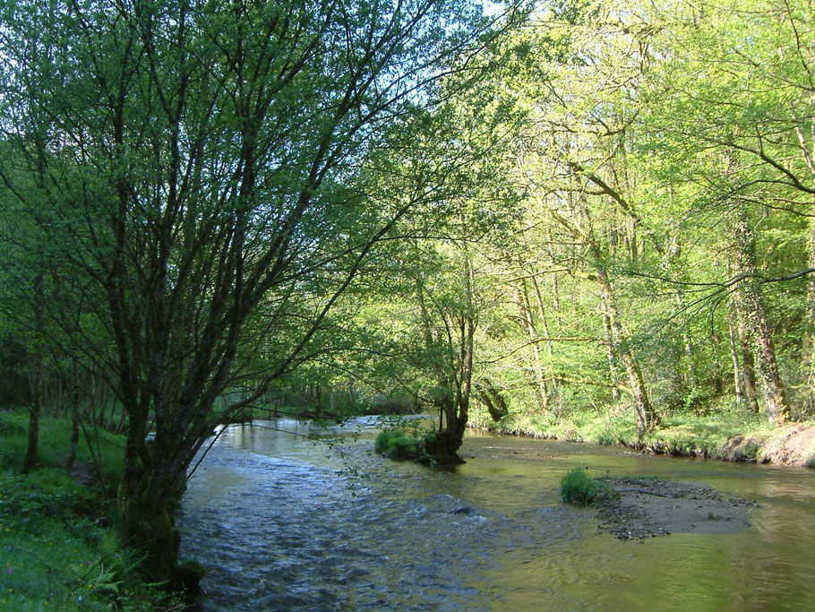 La Combade avant sa confluence avec la Vienne