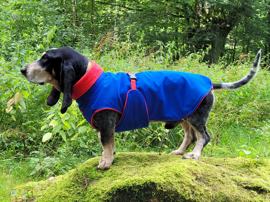 Hunde-Wintermantel, Superman-Design blau mit rot maßgeschneidert von Bijou Chien