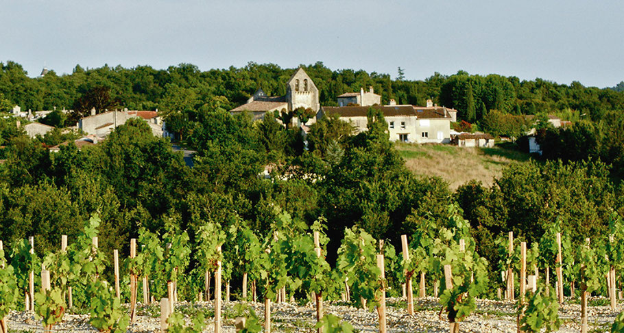 Haux, Gironde (33). Projet d'aménagement urbain et d'habitat participatifs