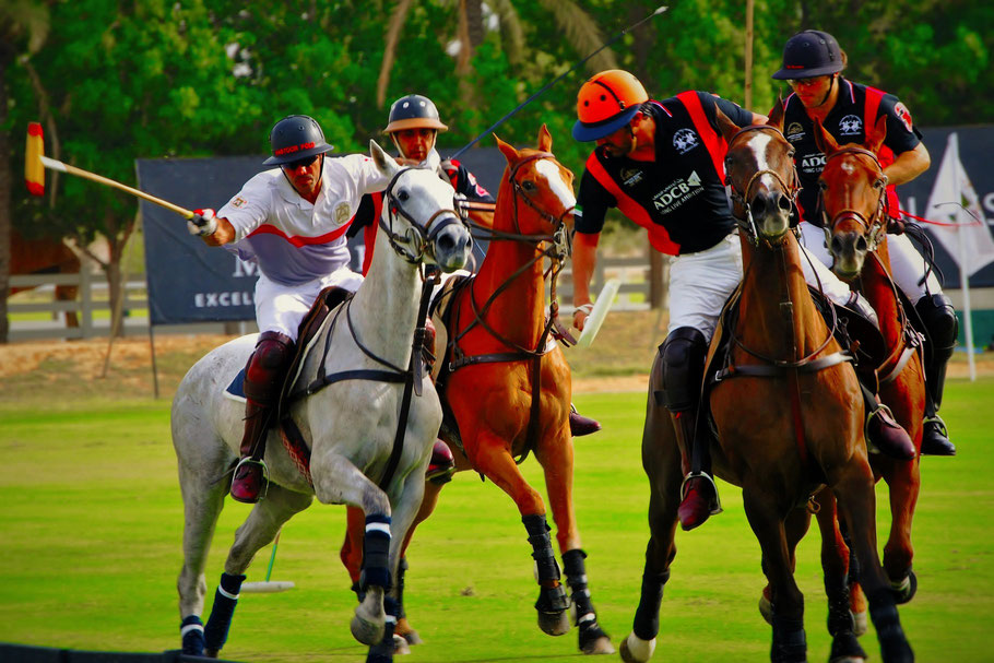 (C) 2015 www.classy-dubai.com by MarlaMaria