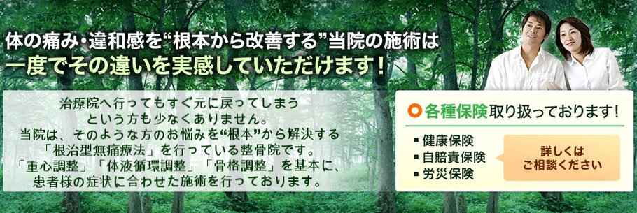 えじり整骨院の施術内容　各種保険取り扱っております