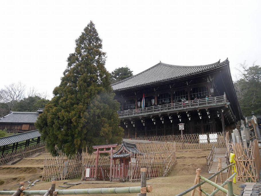 二月堂と良弁杉　麓に興成神社