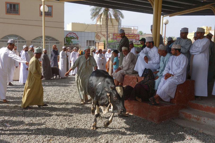 Oman, marché aux bestiaux de Nizwa