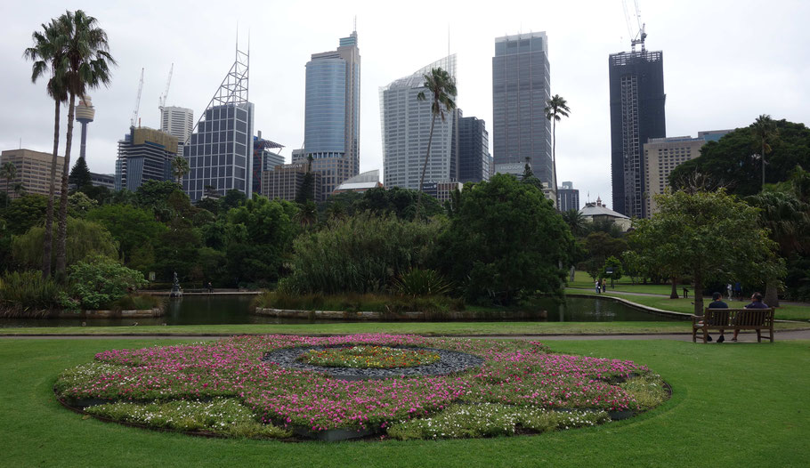 Australie, Sydney : le Royal Botanic Garden