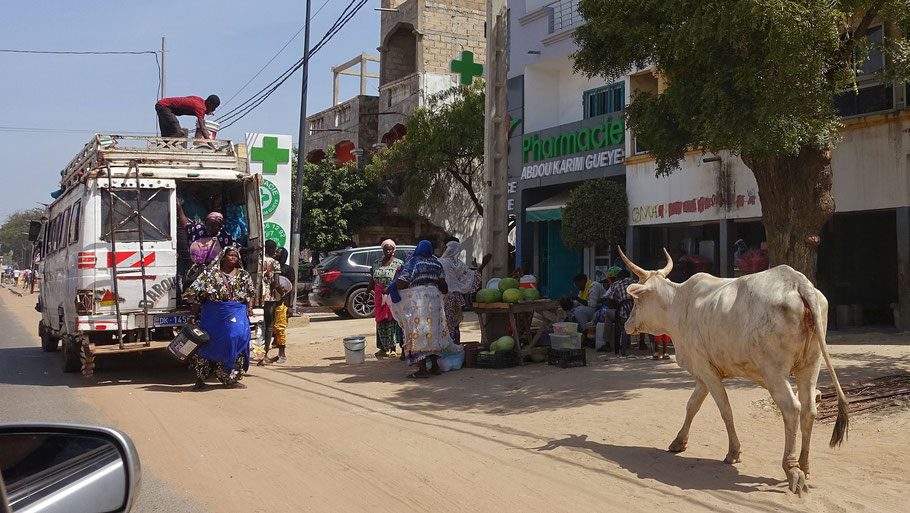Sénégal : sur la route Rufisque-Niaga près de Dakar, en allant vers le Lac Rose