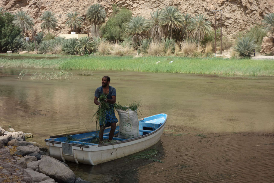 Oman, paysan et sa barque à l'entrée du Wadi Shab