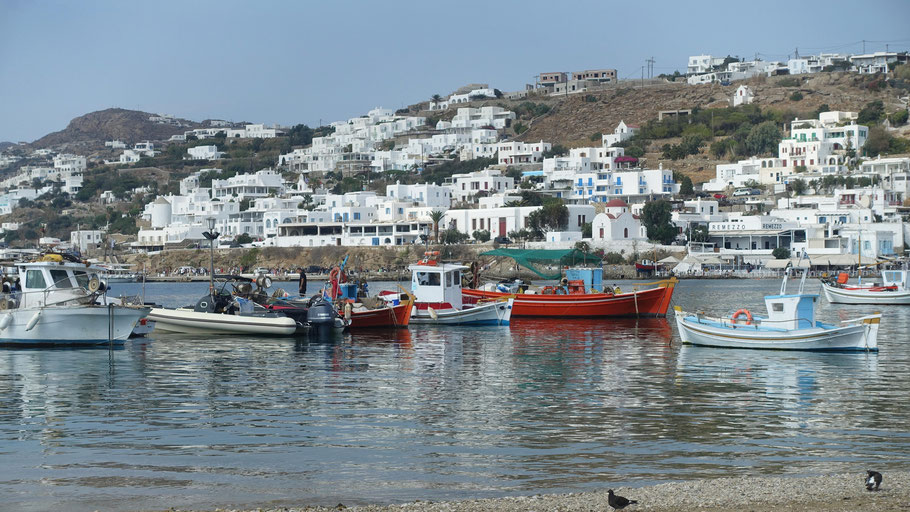 Grèce, Cyclades : vieux port de pêche de Mykonos
