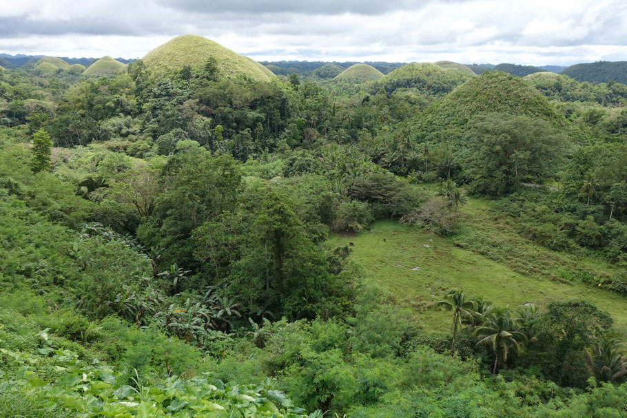 Chocolate Hills, panorama du belvédère