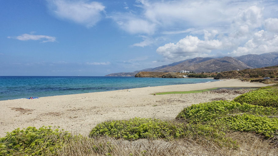 Grèce, Cyclades : Naxos, la belle plage d'Amyte (Amitis beach)